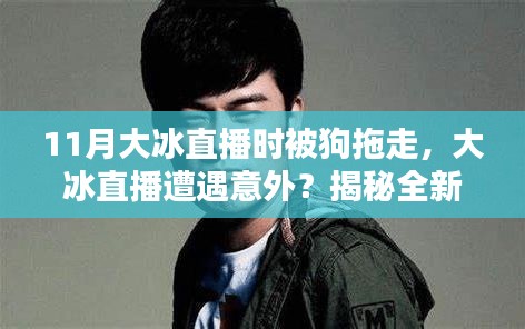 第2055页