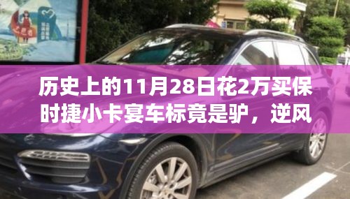 设计团队 第313页