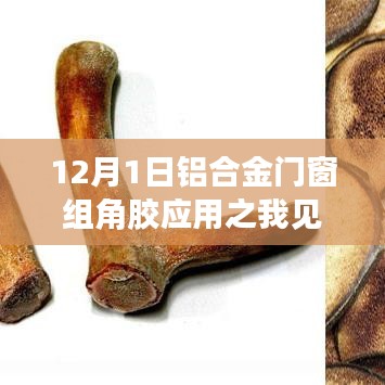 伸手不见五指 第5页