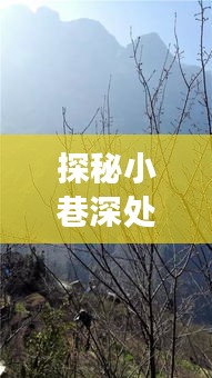2024年12月 第1148页
