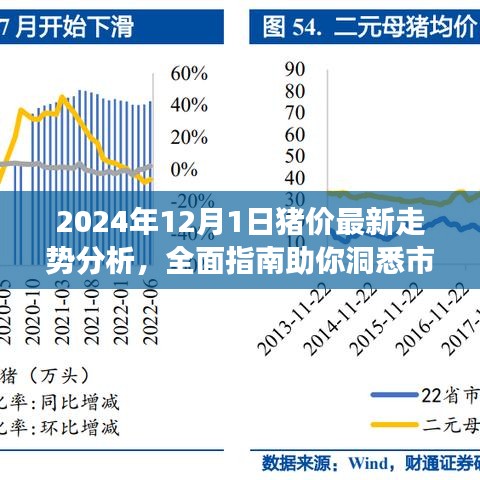 一花独放 第5页