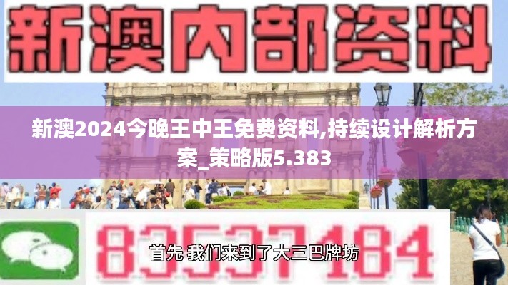 新澳2024今晚王中王免费资料,持续设计解析方案_策略版5.383