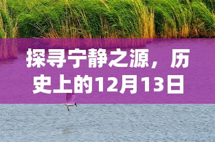 衣不重彩 第3页