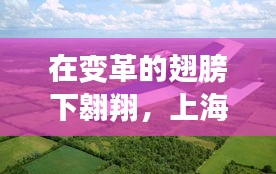 布被瓦器 第3页