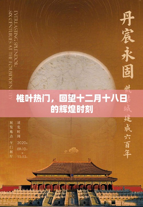 辉煌瞬间