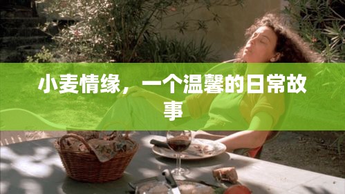 尖嘴猴腮 第3页