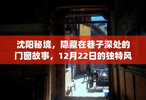 2024年12月 第169页