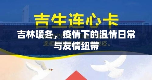 设计团队 第141页