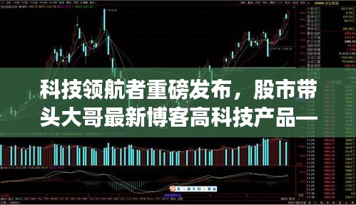 2024年12月 第46页