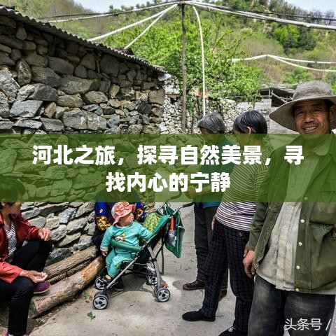 虫书鸟篆 第2页