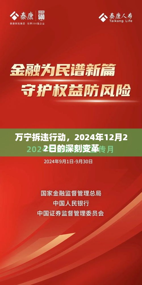 衣无二彩 第3页