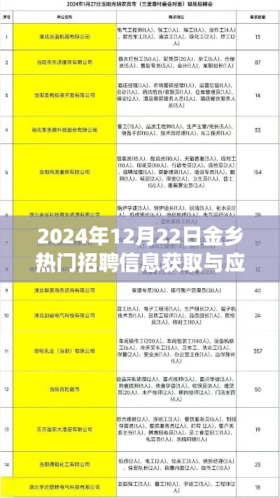 初学者与进阶用户