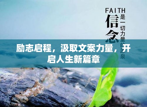关于我们 第78页