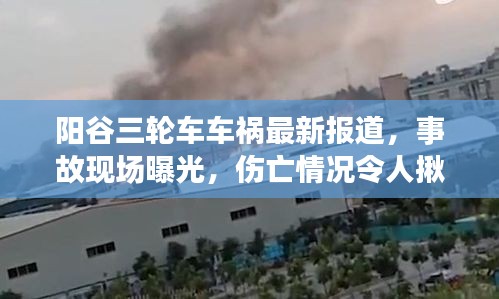 关于我们 第55页