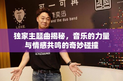 独家主题曲揭秘，音乐的力量与情感共鸣的奇妙碰撞