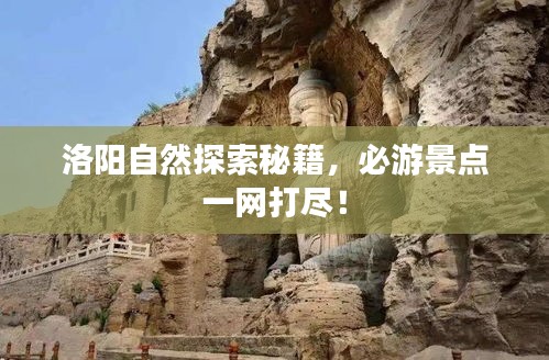 设计团队 第34页