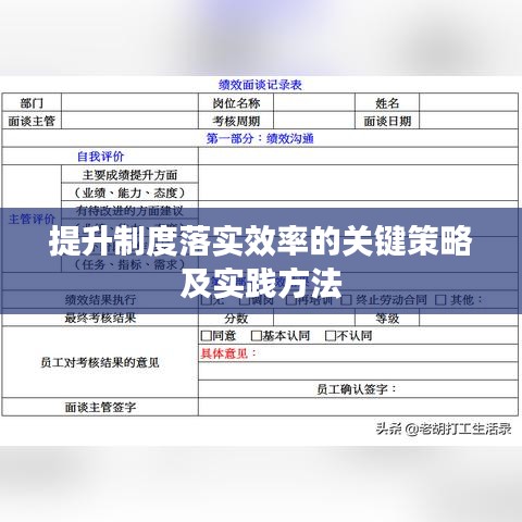提升制度落实效率的关键策略及实践方法