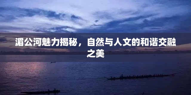设计团队 第28页