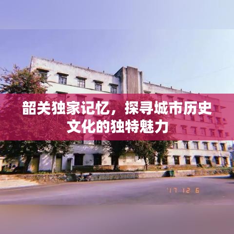 设计团队 第14页