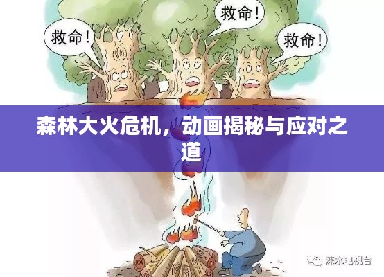 森林大火危机，动画揭秘与应对之道