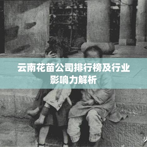 云南花苗公司排行榜及行业影响力解析