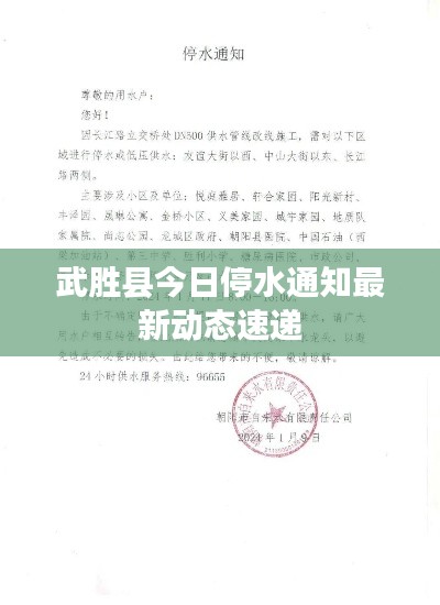 设计团队 第5页