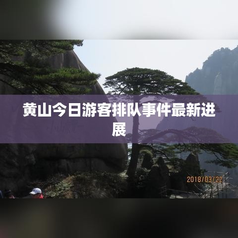 2025年5月15日 第3页