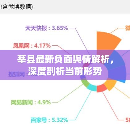 莘县最新负面舆情解析，深度剖析当前形势
