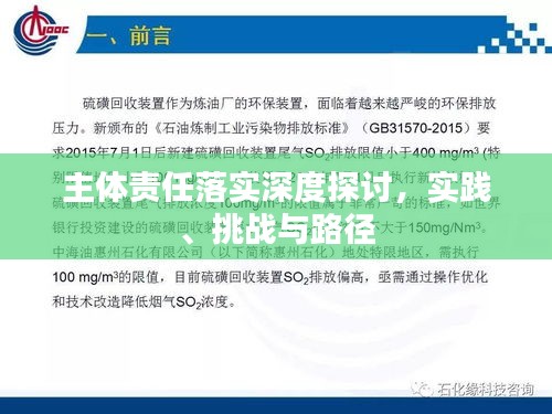 主体责任落实深度探讨，实践、挑战与路径