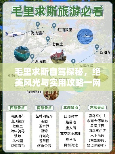 毛里求斯自驾探秘，绝美风光与实用攻略一网打尽！