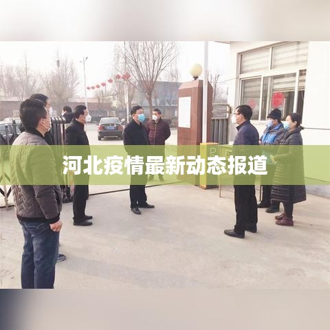 河北疫情最新动态报道
