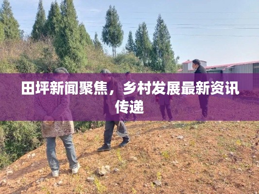 田坪新闻聚焦，乡村发展最新资讯传递