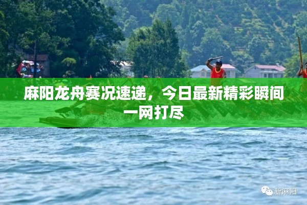 麻阳龙舟赛况速递，今日最新精彩瞬间一网打尽