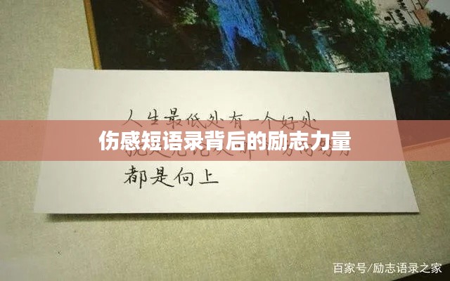 伤感短语录背后的励志力量